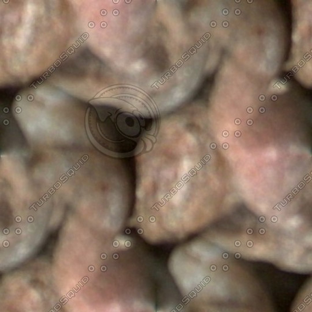  https://p.turbosquid.com/preview.turbosquid.com/Preview/2014/08/01__20_40_40/seamless rock(43).jpg2b40556b-7a9e-48ab-af3e-56e6196b464aLarger/jpg/1289356490/1920x1080/fit_q87/bf3e2bcaa8f4857f2fcad26869896d95490b54f5/seamless rock(43).jpg2b40556b-7a9e-48ab-af3e-56e6196b464aLarger.jpg